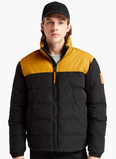 Ανδρικά Μπουφάν A5XQH Μαύρο Πολυεστέρα Timberland