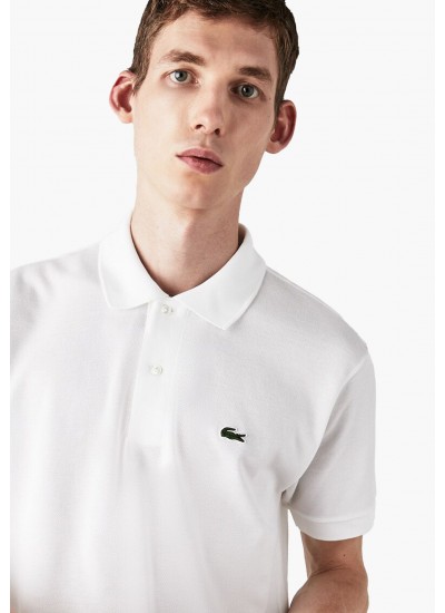 Men T-Shirts L1212 White Cotton Lacoste