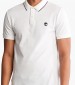 Men T-Shirts A26NF White Cotton Timberland