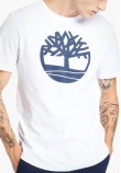 Men T-Shirts A2C2R White Cotton Timberland
