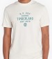 Men T-Shirts A5UF7 White Cotton Timberland