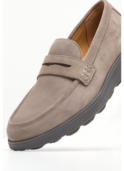 Men Moccasins Spherica.Mocca Taupe Buckskin Geox