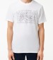Men T-Shirts TH7505 White Cotton Lacoste