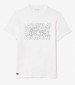 Men T-Shirts TH7505 White Cotton Lacoste