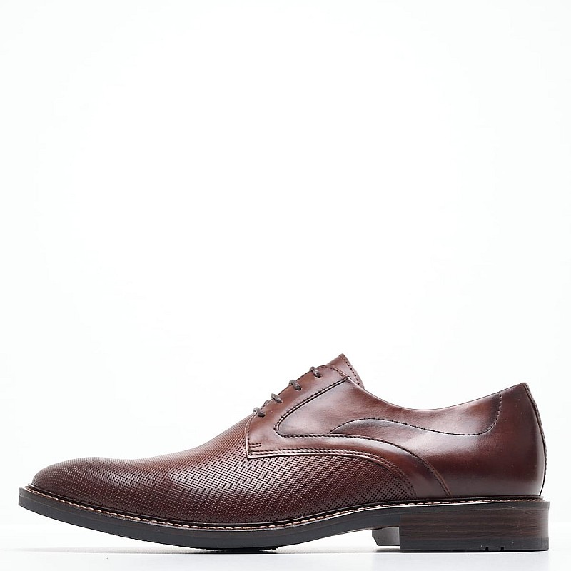 Men Shoes 4403 Brown Leather Damiani