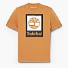 Ανδρικές Μπλούζες A5QS2 Κίτρινο Βαμβάκι Timberland Ανδρικές Μπλούζες A5QS2 Κίτρινο Βαμβάκι Timberland