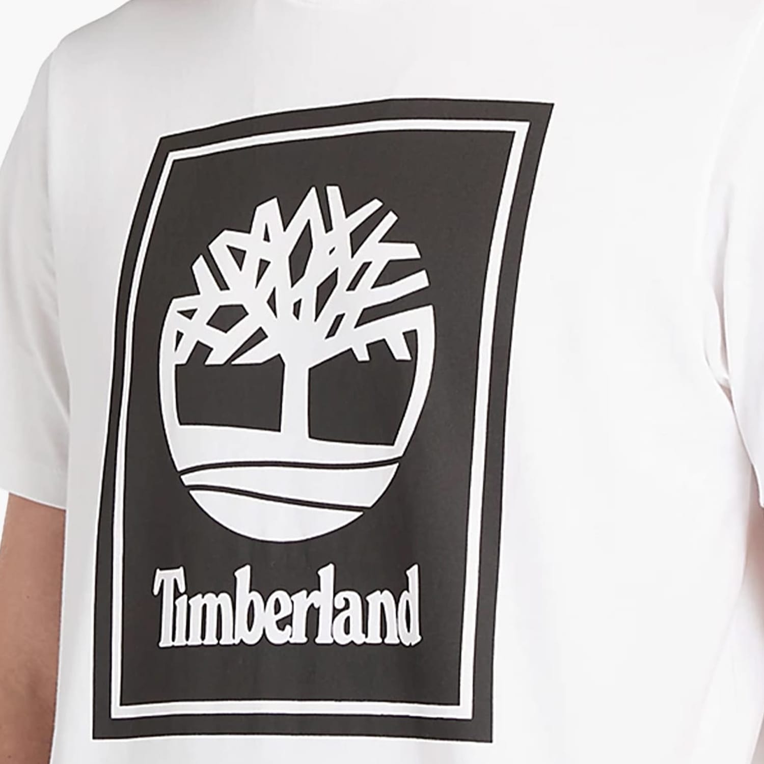 Ανδρικές Μπλούζες A5WQQ Άσπρο Βαμβάκι Timberland Ανδρικές Μπλούζες A5WQQ Άσπρο Βαμβάκι Timberland