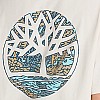 Men T-Shirts A6DG5 White Cotton Timberland