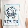 Men T-Shirts A6DHD White Cotton Timberland