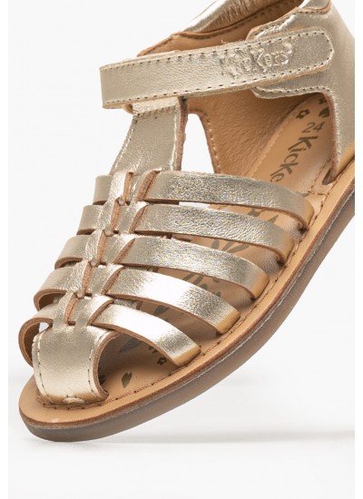 Women Casual Shoes Race Multi Fabric Ash