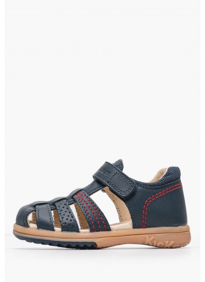 Babysock.Giftbox.B Multi Βαμβάκι Tommy Hilfiger
