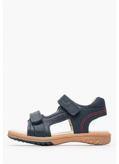 Babysock.Giftbox.B Multi Βαμβάκι Tommy Hilfiger