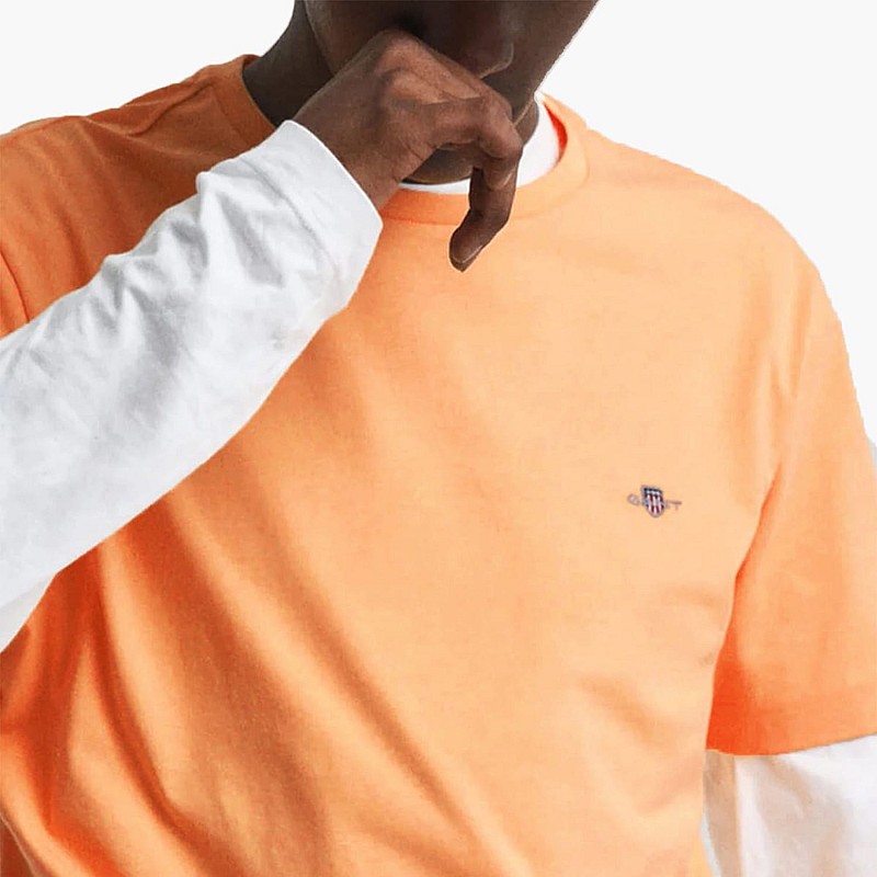 Men T-Shirts Reg.Ss Orange Cotton GANT