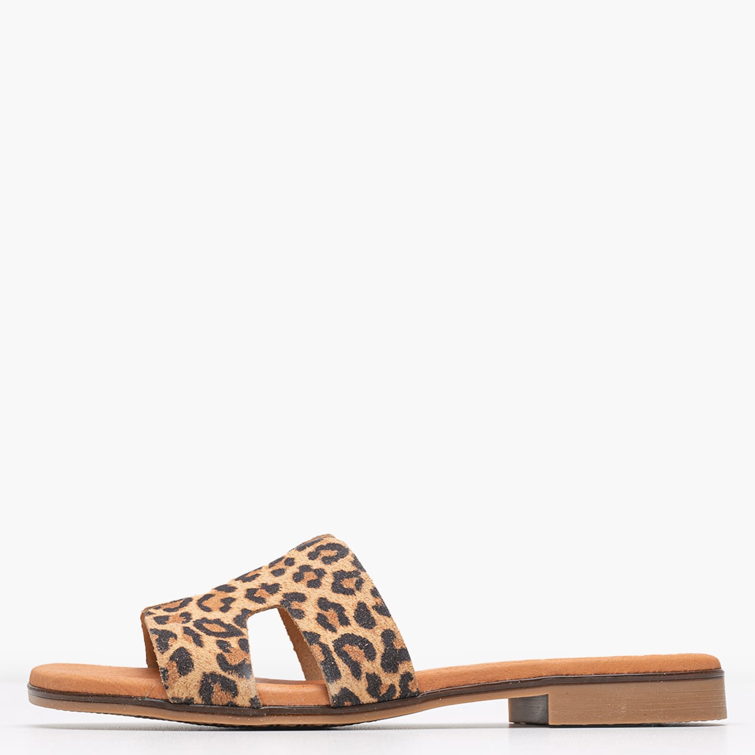 Γυναικεία Flats 3053 Leopard Δέρμα Eva Frutos