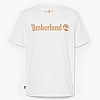 Timberland A5UPQ Ανδρικά Μπλούζες Timberland A5UPQ-White