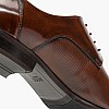 Boss shoes C7513.Point-Brown
