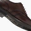 Ralph Lauren Asher Mens Shoe Ralph Lauren Asher-Brown