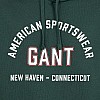 GANT Printed.Hoodie Ανδρικά Φούτερ Gant Printed.Hoodie-Green