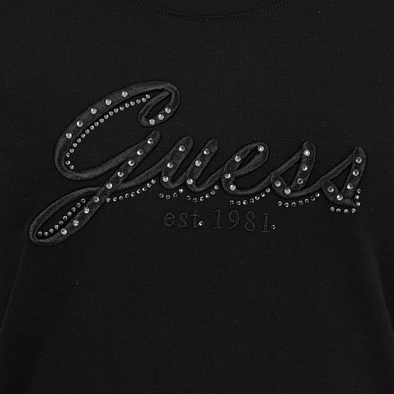 Guess Embro.Script