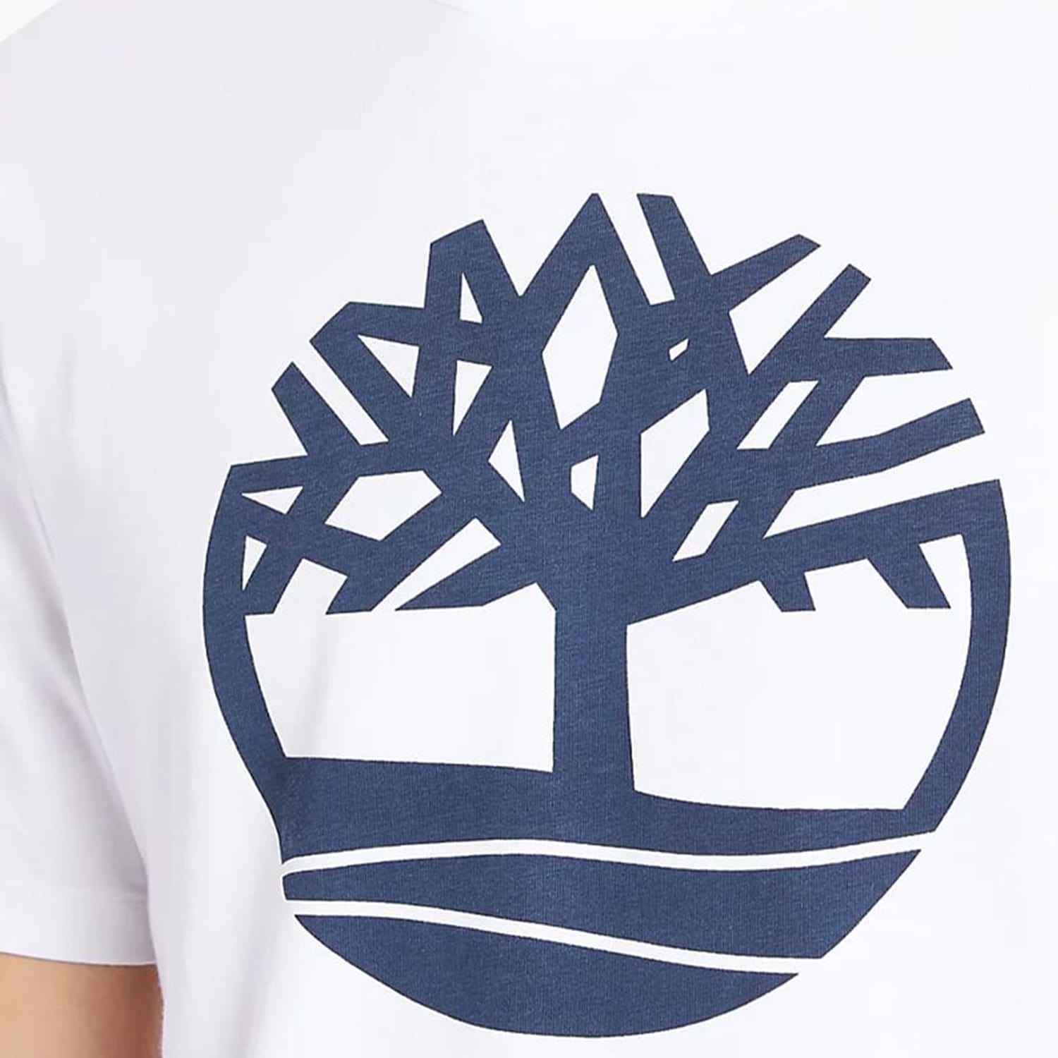 Timberland A2C2R-White