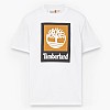Timberland A5QS2-White