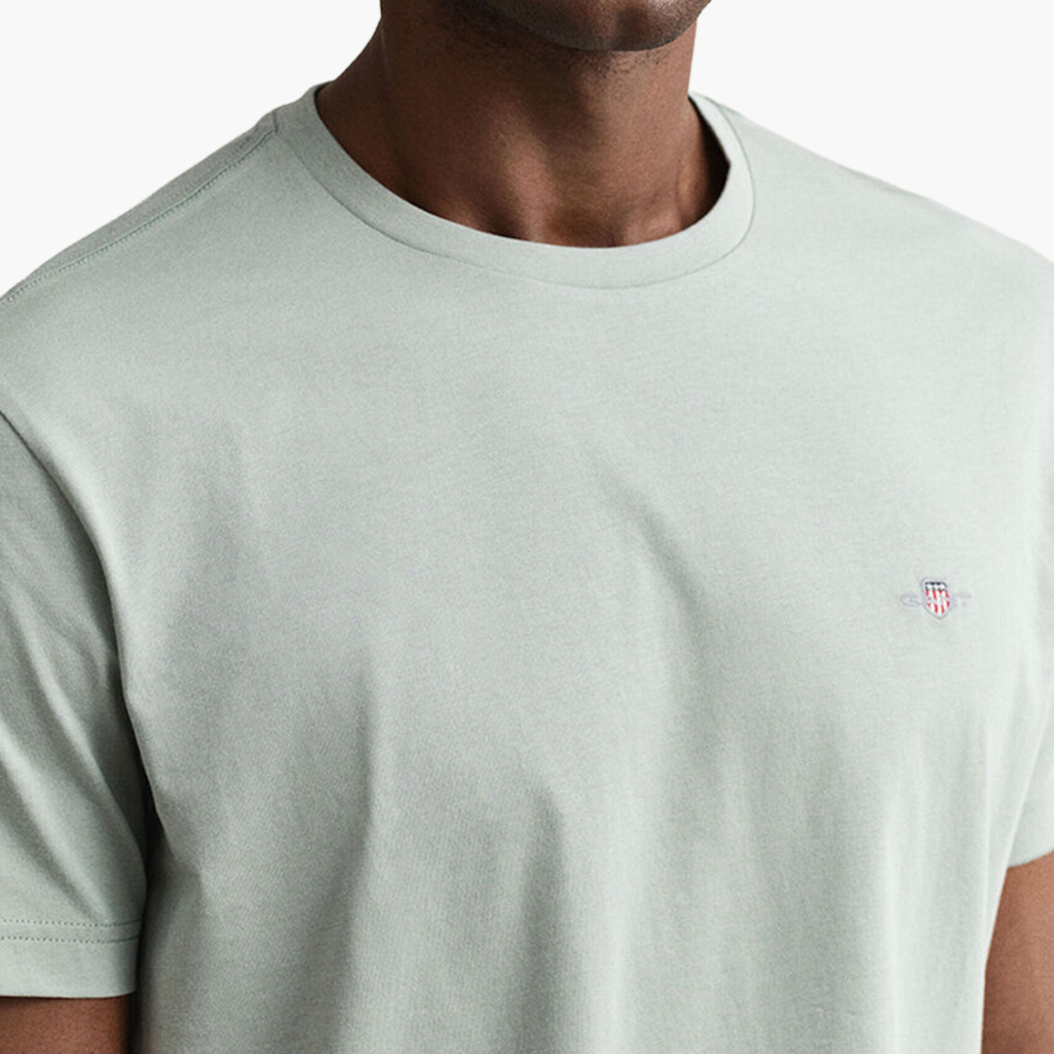 Gant Reg.Ss.C-Grey