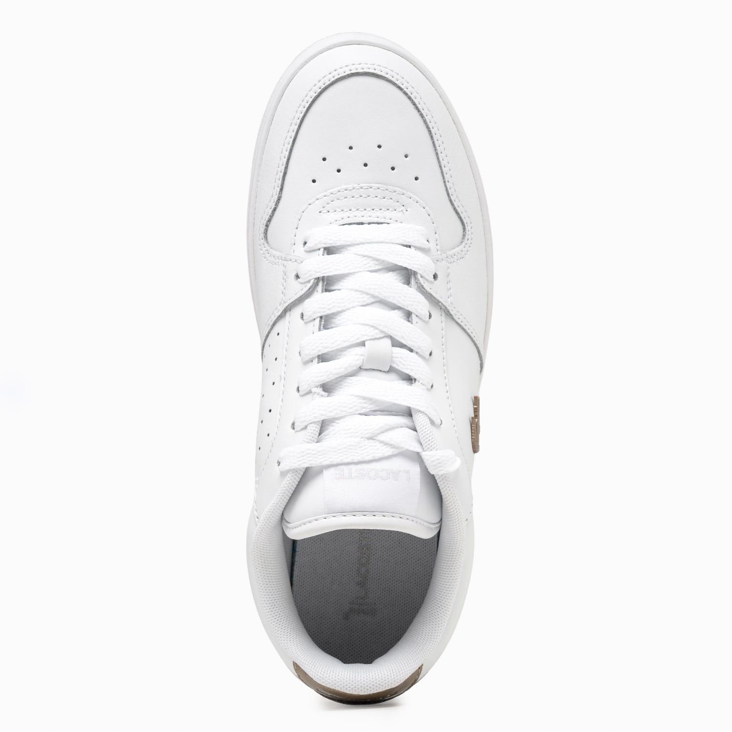 Lacoste Courtace.Spec-White