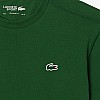 Lacoste TH7618-Green