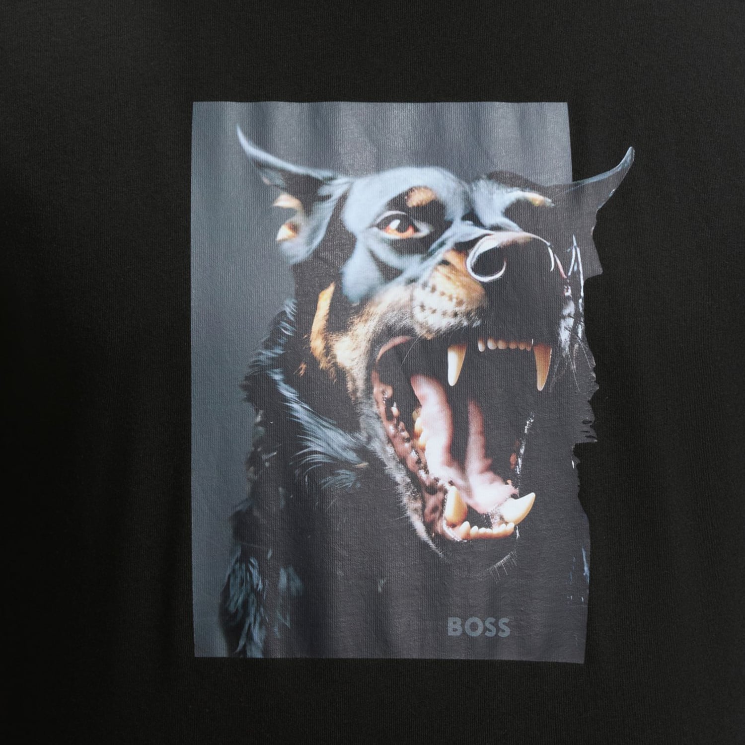 Boss Dobermann-Black